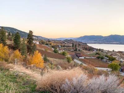 Local Hikes To Get Back To Nature