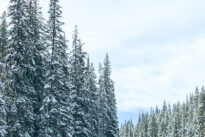 Winter 2020 Bucket List